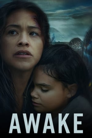 Awake (2021) Hindi Dual Audio 480p Web-DL 300MB