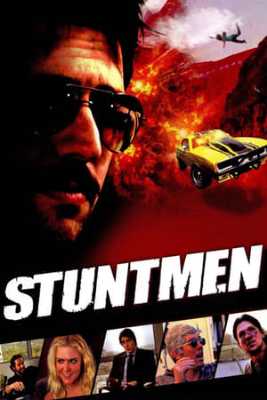 Stuntmen 2009 Hindi Dual Audio 480p WebRip 300MB