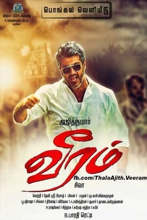 Veeram 2014 Hindi Dual Audio 480p HDRip 270MB